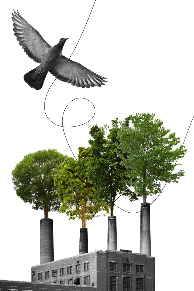 windmill illustration