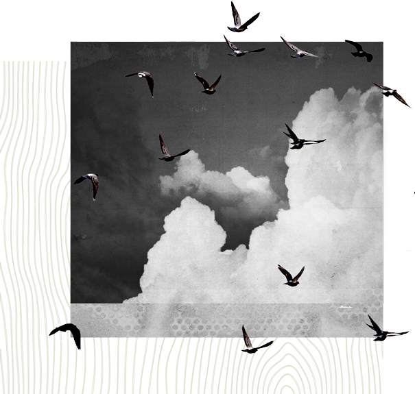 windmill illustration