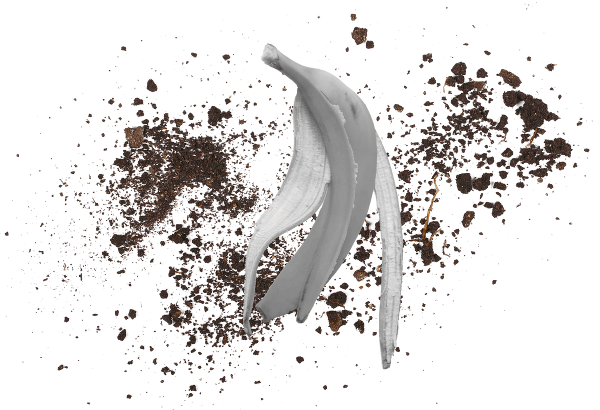 windmill illustration