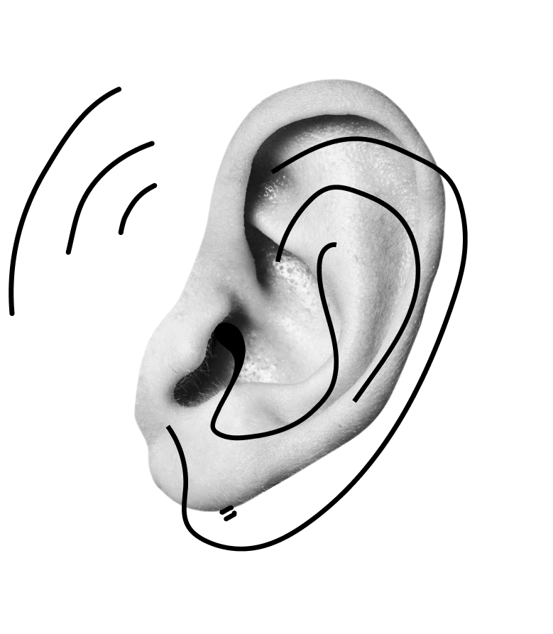 windmill illustration