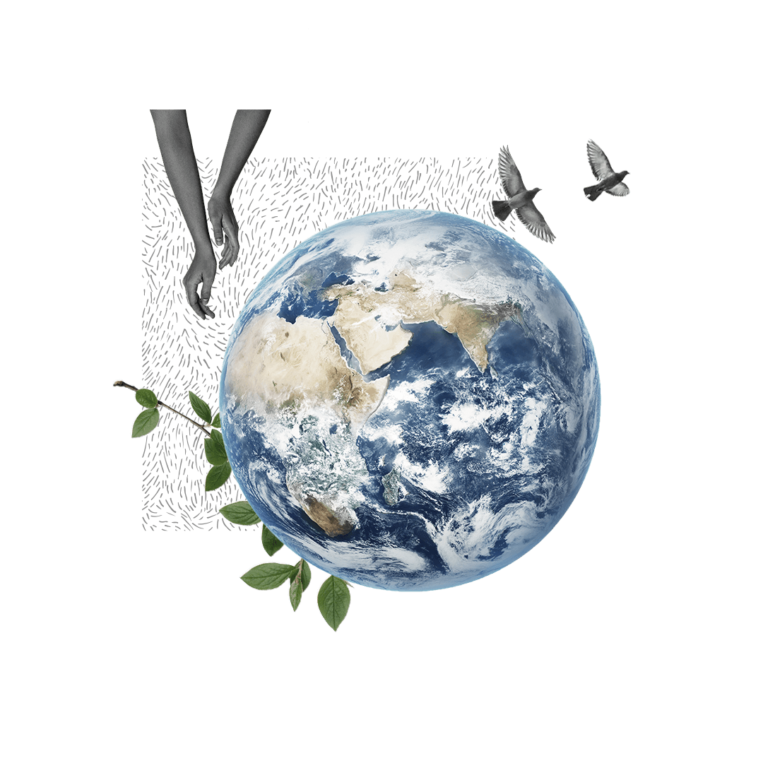 windmill illustration