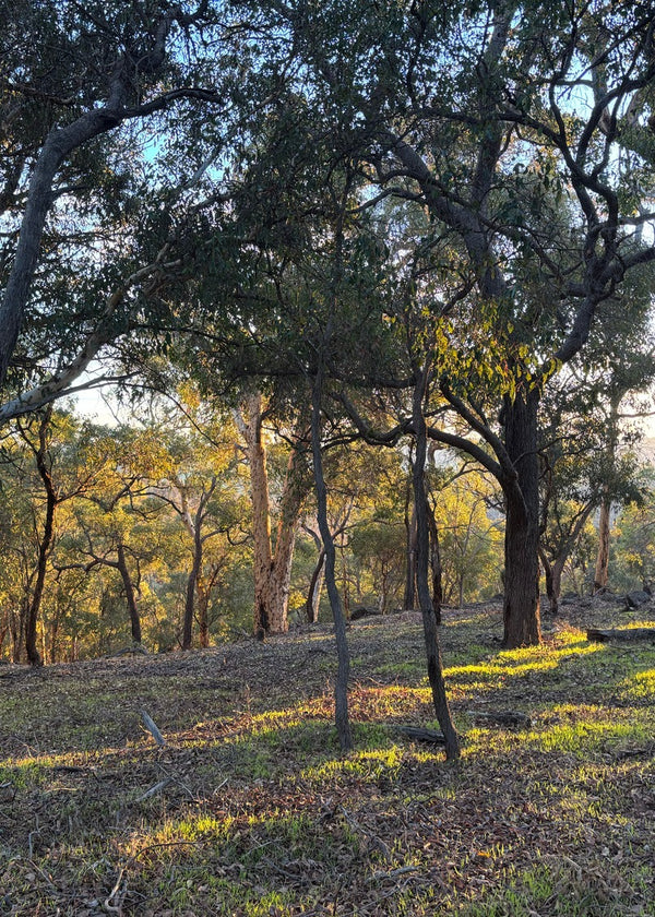 Australia, Western Australia - 