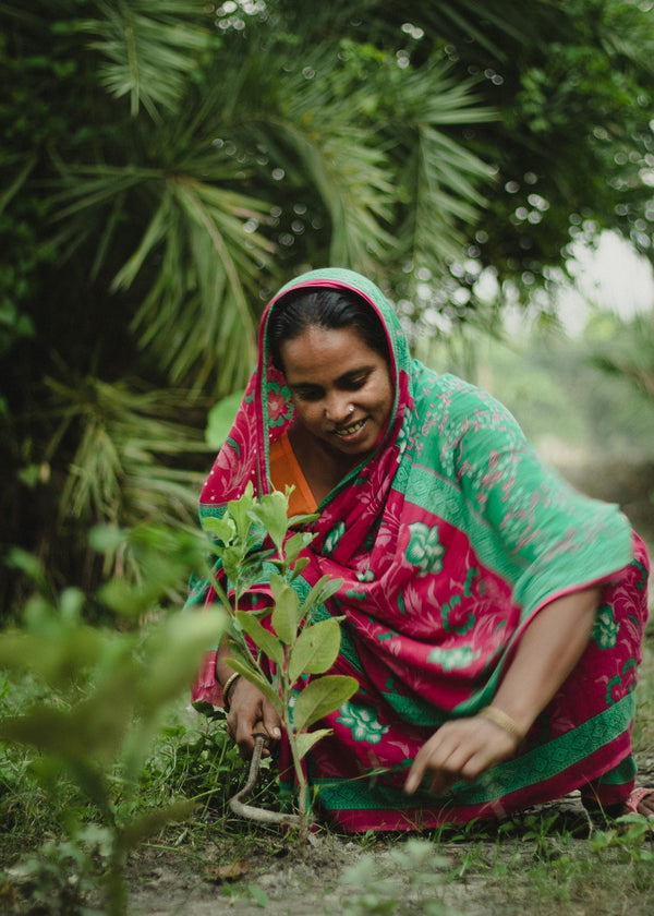 West Bengal, India - 